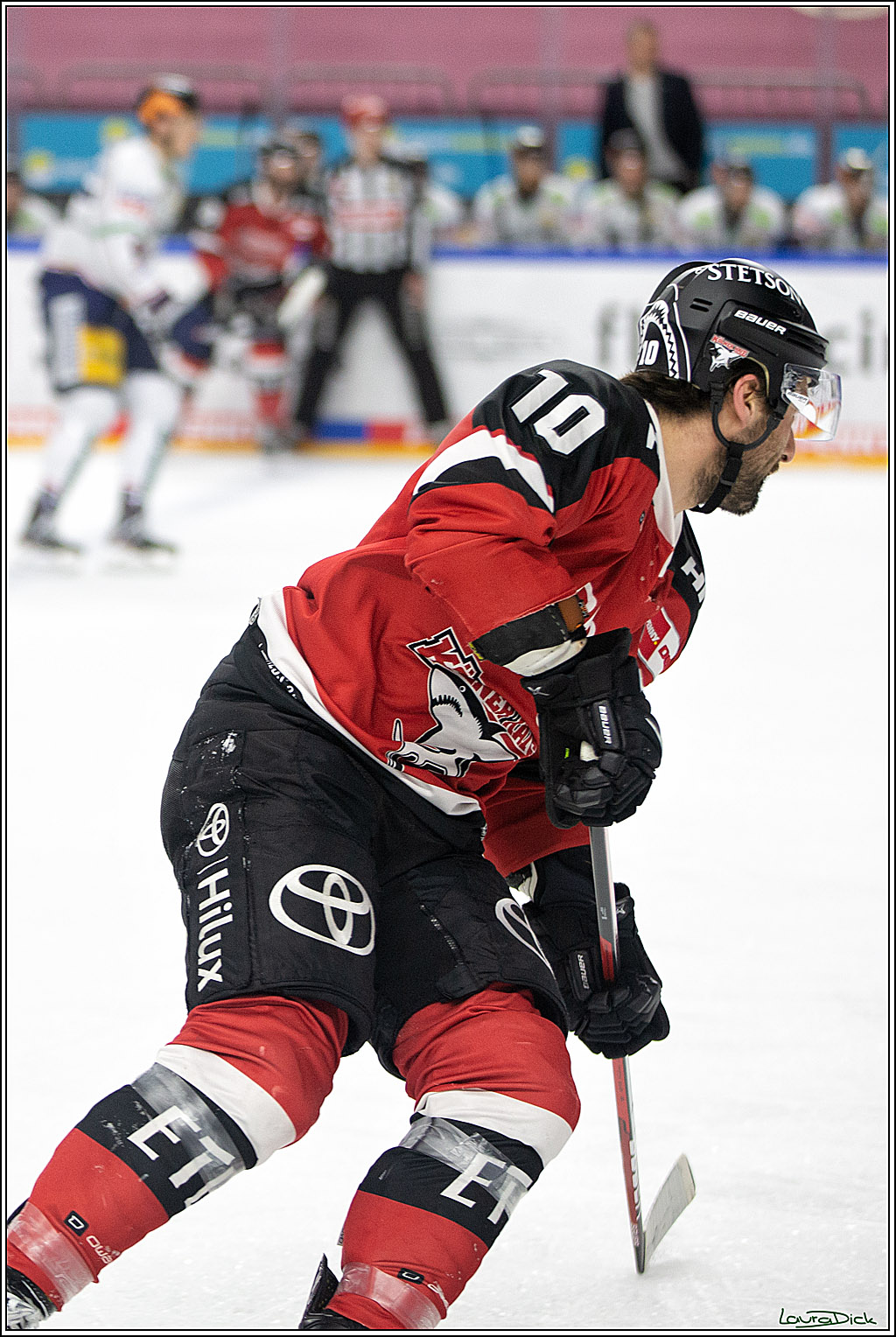 PENNY DEL; Koelner Haie- Eisbaeren Berlin; Koeln, 28.12.2021